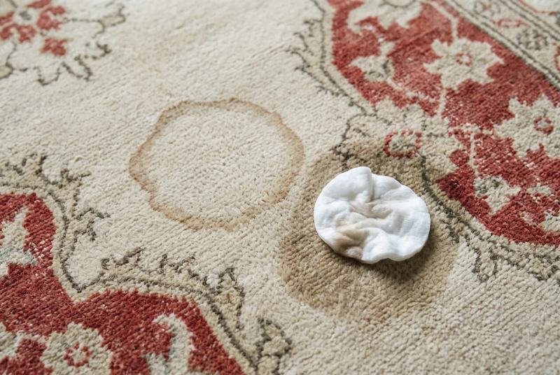 Auréole brune laissée par l’eau sur un tapis clair, en cours de traitement
