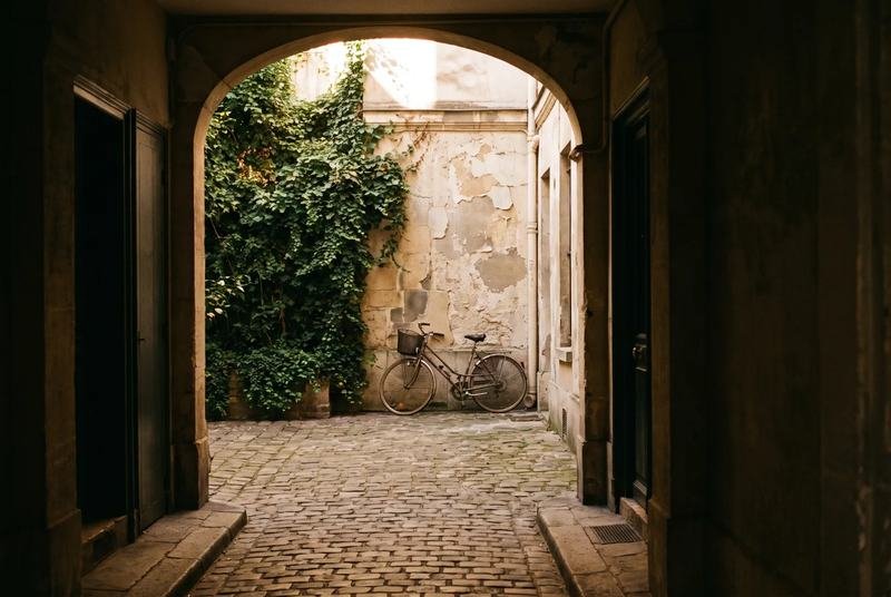 Cour pavée d’un immeuble ancien, végétation en pot le long des murs