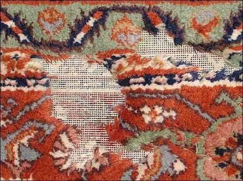 Trame de coton mise à nu par les larves de mites sur un tapis rouille